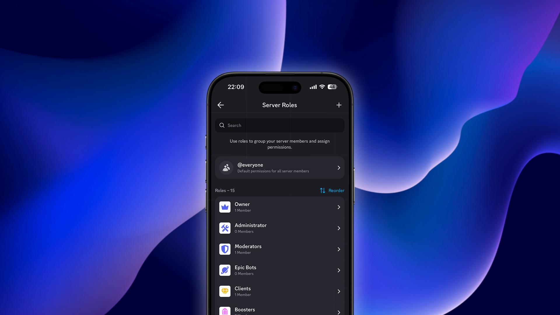 Discord permission settings interface